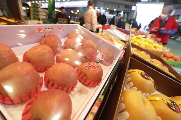 최근 물가 상승을 주도했던 사과와 배 가격이 내린 가운데 서울의 한 대형마트에 과일이 진열되어 있는 모습.  (사진=연합뉴스)